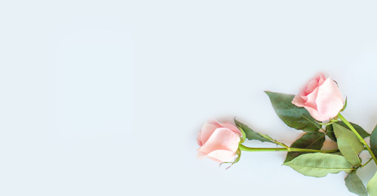 Sympathy Flowers Belgravia